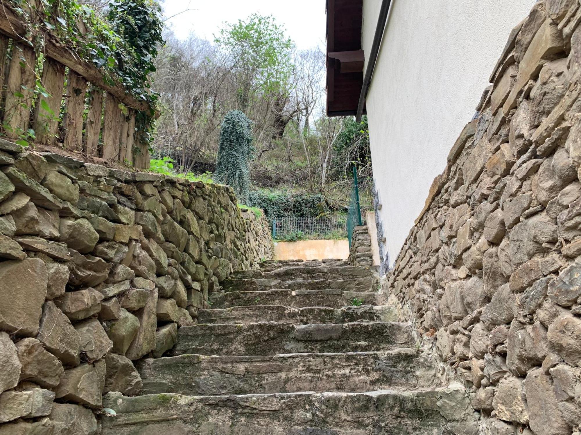 Casa Rural En Santa Cruz-Mieres Bustiello  Exteriér fotografie